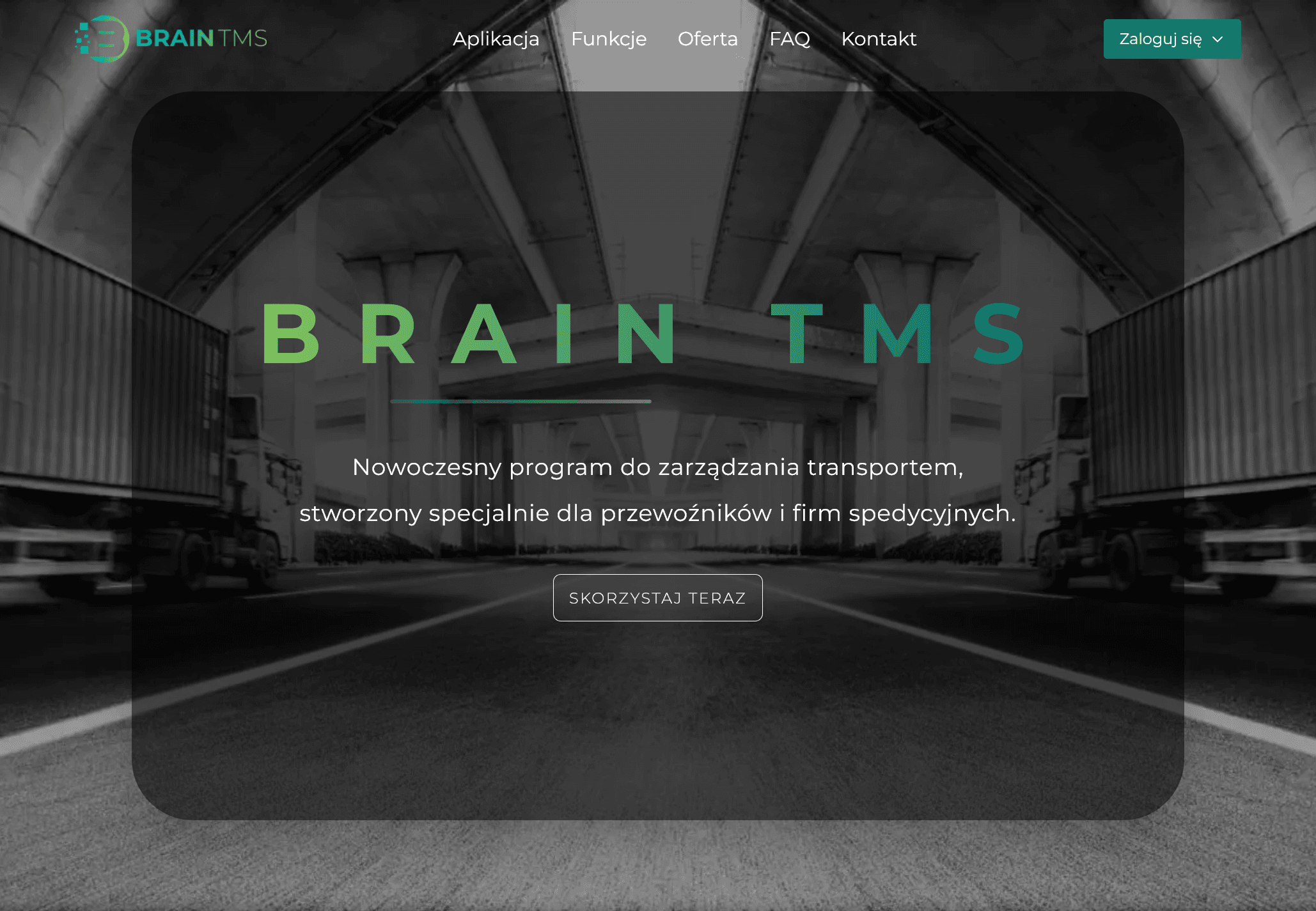 Strona internetowa BrainTMS